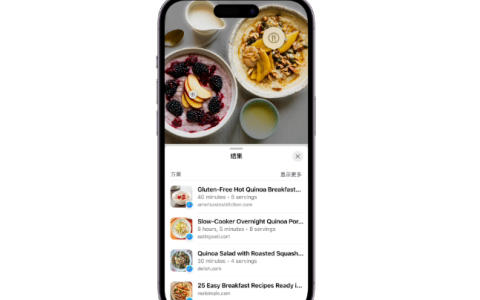 使用 iOS 17 进行汽车仪表盘警报识别的图像查询指南