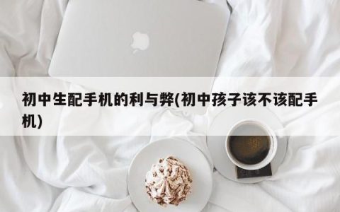 中学生使用手机的利与弊