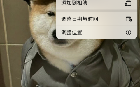 如何在 iPhone 上编辑照片而不覆盖原始文件？