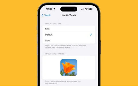 快速触觉反馈控制是iOS 17 Beta 2新功能的应用场景是什么？