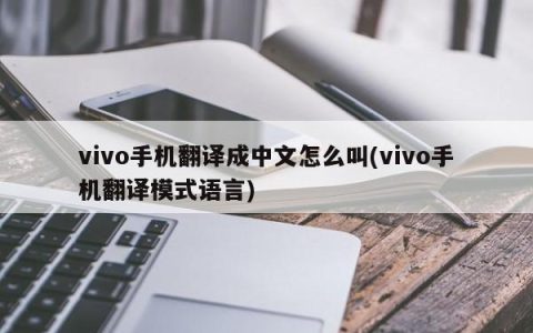 vivo手机汉语名称是什么？