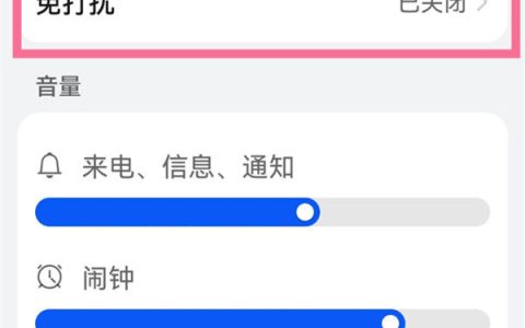 荣耀20pro怎么开启免打扰模式 荣耀20pro开启免打扰模式方法【教程】