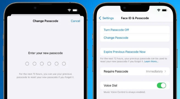苹果iOS 17新功能：重置密码 72 小时内可使用旧密码再次重置