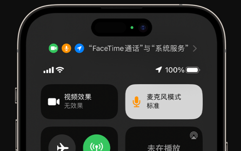 如何提升iPhone通话声音质量的小窍门