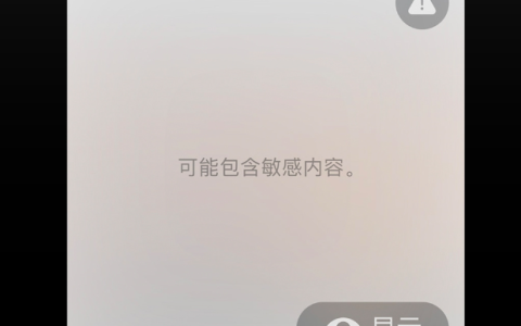iPhone 上的敏感内容警告：如何在 iOS 17 上启用？