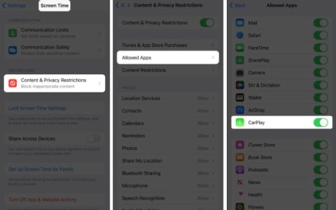 Apple CarPlay无法在iPhone上运行？13种修复方法！