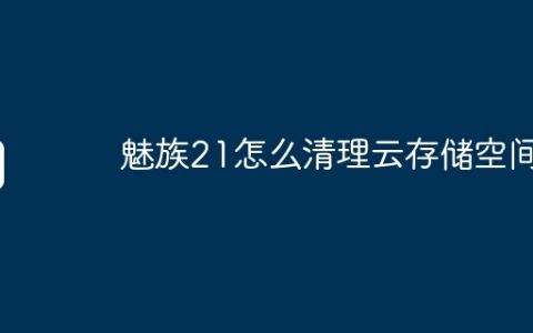魅族21怎么清理云存储空间