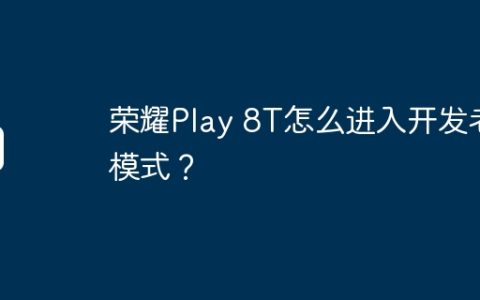 荣耀Play 8T怎么进入开发者模式？