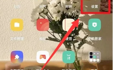 OPPO A2怎么样格式化？