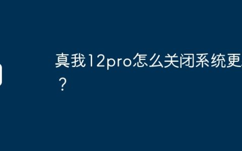 真我12pro怎么关闭系统更新？