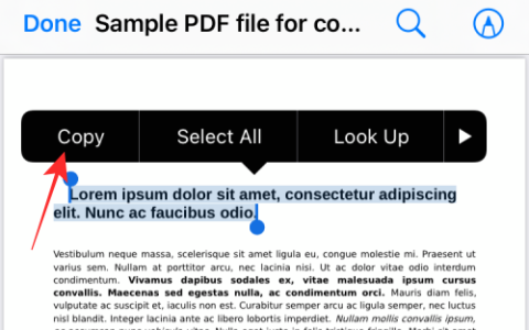 在 iPhone 上从 PDF 获取文本的 3 种方法