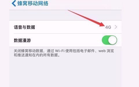 苹果手机4g网络突然用不了