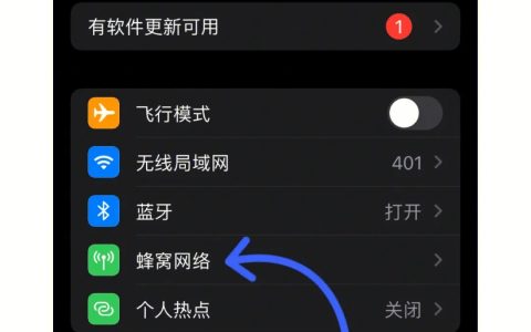 苹果手机4g和5g怎么切换