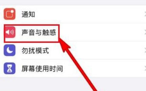 苹果手机静音震动如何取消