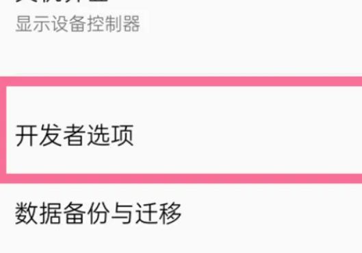 opporeno11如何开启开发者选项 opporeno11开启开发者选项教程【详解】
