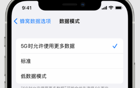 苹果手机5g开关在哪里