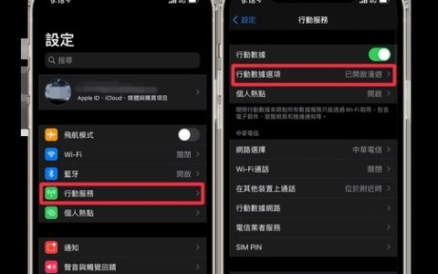 苹果手机5g在哪里开启