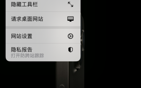 在 iPhone 上使用 Safari 浏览器翻译网页：可设置多种翻译语言