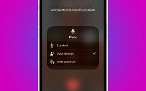 让自己在蜂窝 iPhone 通话中更容易听到