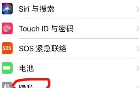 苹果12麦克风在哪里设置?苹果12麦克风设置教程