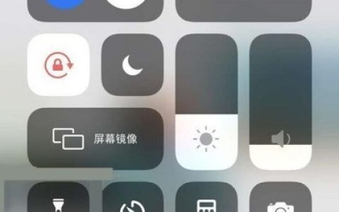 苹果12蜂窝数据怎么打开?苹果12蜂窝数据打开步骤