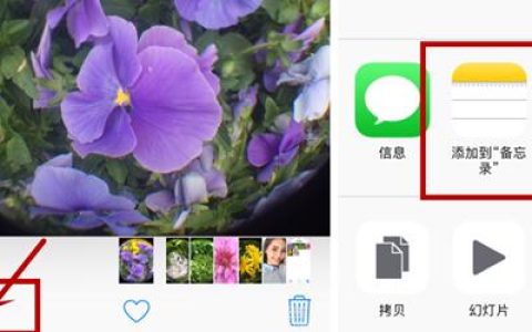 苹果11相册设置密码的操作教程
