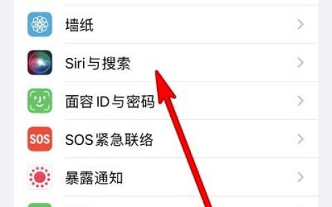 苹果13怎么唤醒Siri?苹果13唤醒Siri教程
