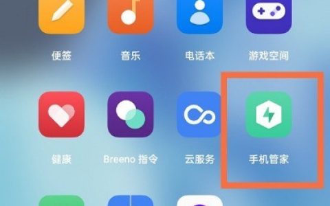 一加9pro怎样开启支付保护?一加9pro支付保护开启步骤