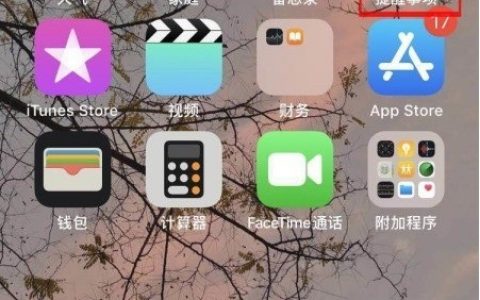 苹果手机怎样开启事项提醒?苹果手机开启事项提醒步骤