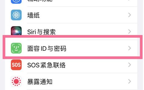 苹果13怎么开启屏幕锁?苹果13设置锁屏密码方法介绍