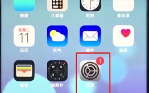 苹果手机查询移动流量的详细步骤