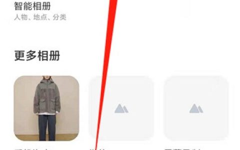 小米11去哪开启隐藏相册的功能?小米11设置屏蔽相册图文教程