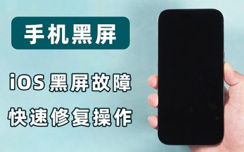 苹果14突然黑屏处理办法