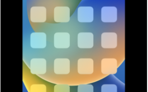 iPhone手机主屏幕壁纸显得模糊怎么办？