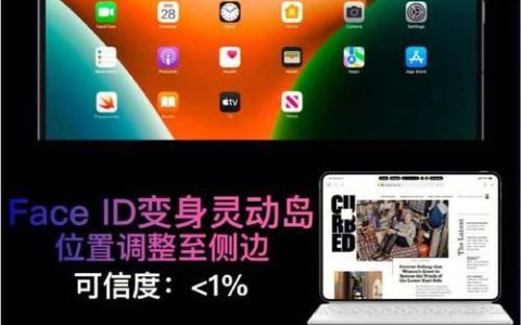 平板尺寸怎么测量（探究平板尺寸测量的关键因素及方法）