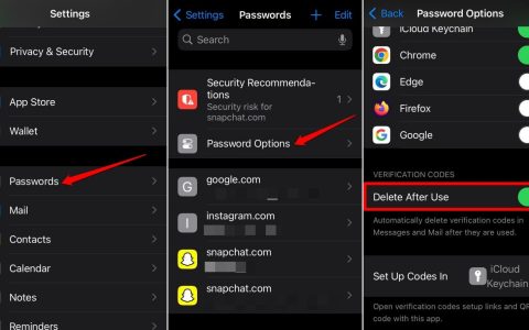 如何在iPhone上自动删除OTP和验证码？