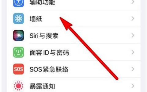 苹果13mini怎样更换壁纸主题?苹果13mini设置壁纸主题教程