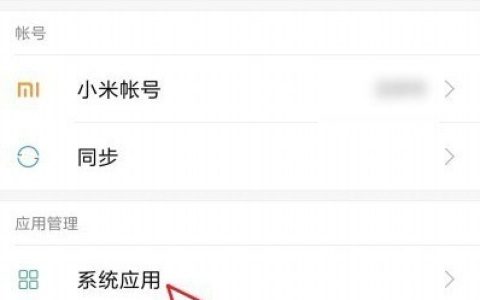 小米11怎么设置自动接听电话?小米11设置自动接听电话教程