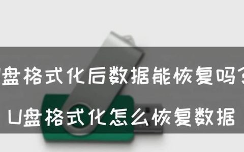 网上数据恢复软件（探寻网络数据恢复软件的可信度与效果）