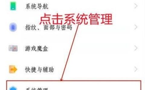 iQOO9Pro怎么设置控制栏样式?iQOO9Pro控制栏样式设置方法