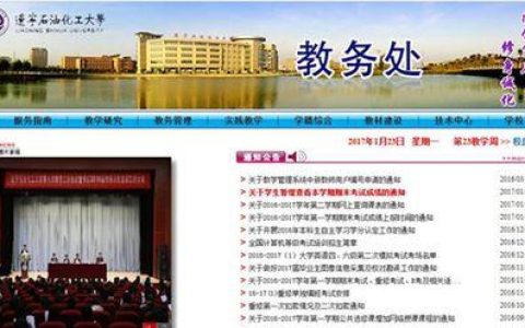 网上查成绩平台介绍（方便快捷的成绩查询工具）