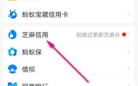 支付宝如何查看芝麻分租物记录 支付宝查看芝麻分租物记录方法【教程】