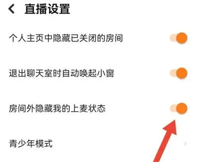 探探怎么隐藏上麦状态 探探隐藏上麦状态方法【教程分享】