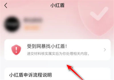 小红书如何申请网暴保护 小红书申请网暴保护方法【步骤】