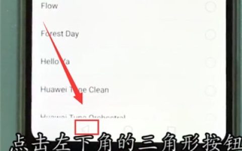 华为nova3e返回上一级的操作步骤