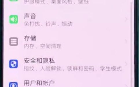 华为p20中打开开发人员选项的操作步骤
