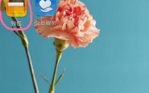 华为nova5iPro复制门禁卡的操作流程
