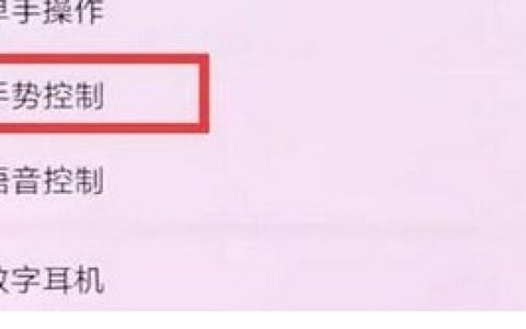 华为畅享9plus使用抬手亮屏的详细步骤