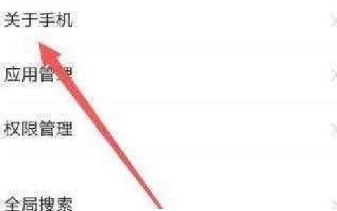 vivox70手机激活时间在哪里查?vivox70手机激活时间查看方法