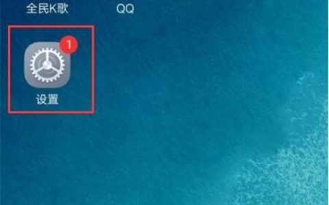 vivox21s设置应用权限的操作步骤